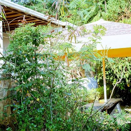 Inzozi Africa House B&B-Kimihurura Kigali Luaran gambar